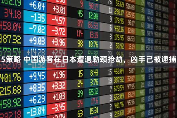 5策略 中国游客在日本遭遇勒颈抢劫，凶手已被逮捕