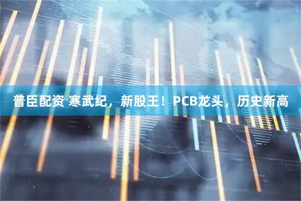 普臣配资 寒武纪，新股王！PCB龙头，历史新高