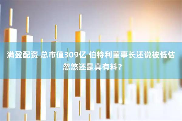 满盈配资 总市值309亿 伯特利董事长还说被低估 忽悠还是真有料？