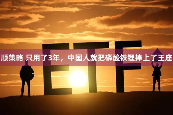 顺策略 只用了3年，中国人就把磷酸铁锂捧上了王座