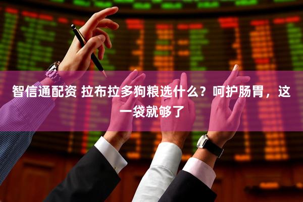 智信通配资 拉布拉多狗粮选什么？呵护肠胃，这一袋就够了